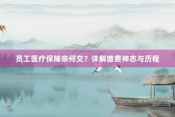 员工医疗保障奈何交?详解缴费神志与历程