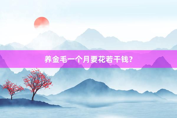 养金毛一个月要花若干钱？
